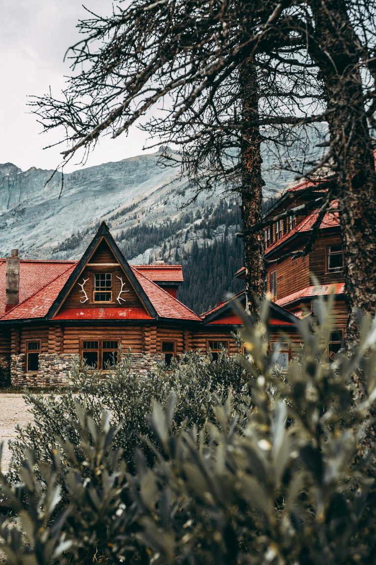 House Under Bare Tree